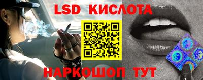 jwh Ярославль