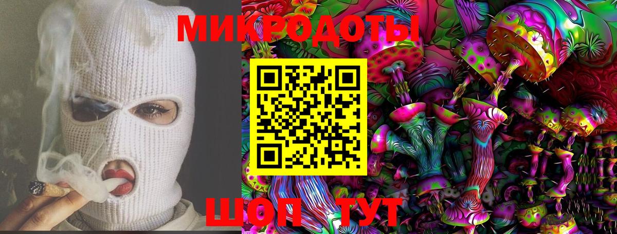 Псилоцибиновые грибы Psilocybine cubensis Соль-Илецк