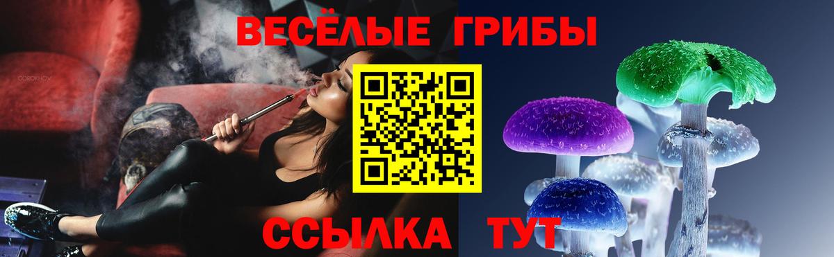 Псилоцибиновые грибы Magic Shrooms  Галлюциногенные грибы Magic Shrooms  Соль-Илецк  Вход с VPN 